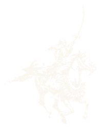 Ride an Arabian